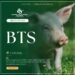 Mata Iman #2285: BTS